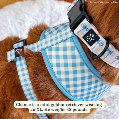 Lucy & Co. Cute Reversible Dog Harness Walking Halter - Best Designer Pet Harnesses for XS - XL Dogs - Padded Adjustable Vest for Easy Walking (Large, Purple Green Floral Checker)