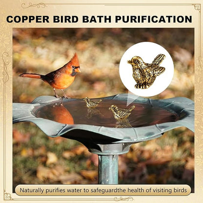 4 Pcs Mini Bird Shape Copper Bath Disk Ornaments Copper Bird Bath Purification Disks Birdbath Cleaner Single 0. 6 oz Weight Universal Fit for Outdoor Birdbaths, Bowl