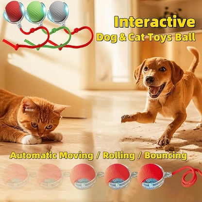 Interactive Dog Cat Toy Ball, Automatic Moving Bouncing Rolling, with Replacement Tail, Pet Smart Chase Ball Rechargeable, Enrichment Toys for Bored Indoor Adult Cats/Dogs (Green)