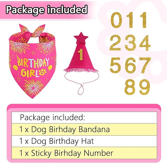 Dog Birthday Party Supplies, Rose Pink Dog Birthday Set with Hat Bandana Numbers for XLarge Large Girl Pets Puppy