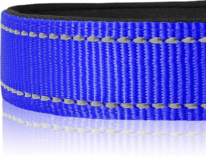 Joytale Reflective Dog Collar, Soft Neoprene Padded, Metal D-Ring, Nylon Pet Collar Adjustable for Puppy and Small Dogs, Navy Blue, XS