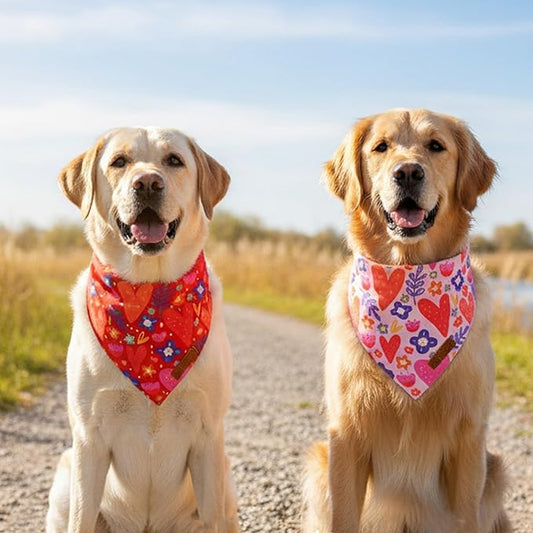 ADOGGYGO Valentines Dog Bandana 2 Pack, Heart and Floral Print Pet Scarf Bib, Adjustable Fit Red Pink Valentines Bandanas for Extra Large Dogs (X-Large)