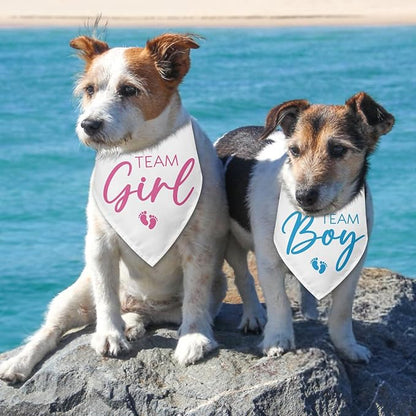 2 Packs Team Girl Team Boy Gender Reveal Baby Announcement Dog Bandana Pet Pregnancy Announcement Pink and Blue Dog Triangle Scarf Accessories for Small Medium Large Dogs Cats