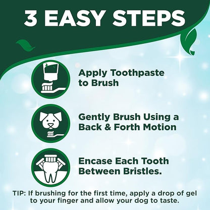 Vet's Best Dog Toothpaste & Toothbrush Kit for Puppies – Puppy Essentials – Dog Toothbrush & Toothpaste for Young Dogs- Perfect for Puppy Teething, Freshens Breath - Peanut Butter Flavor, 3.5 oz
