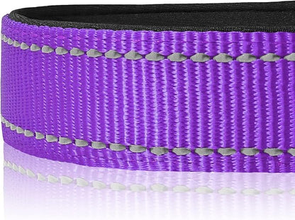 Joytale Reflective Dog Collar, Soft Neoprene Padded, Metal D-Ring, Nylon Pet Collar Adjustable for Extra Large Dogs, Purple, XL