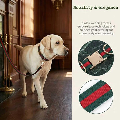 Premium Dog Collar, Cute Dog Collars Luxury Style, Durable Pet Collars and Dog Leash with Metal Buckle Safety for Puppy Small Dogs