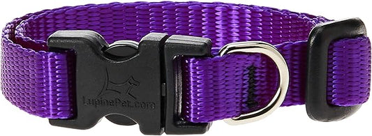 LupinePet Basics 1/2" Purple 8-12" Adjustable Collar for Small Dogs