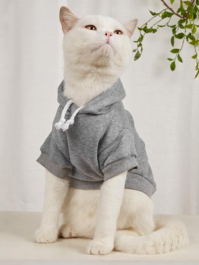 QWINEE Basic Dog Hoodie Sweatshirt Puppy Sweater Warm Cat Costumes Pet Clothes for Chihuahua Puppy Kitten Small Medium Dogs Grey and Cadet Blue Medium