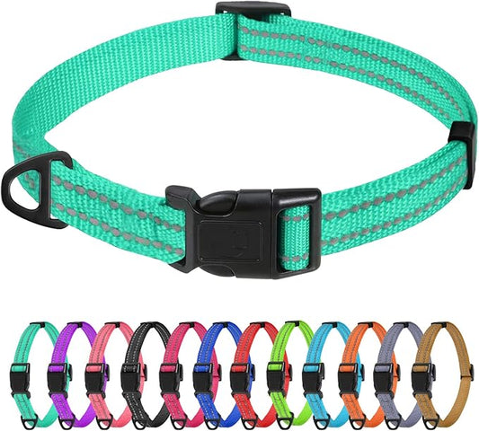 TagME Reflective Nylon Dog Collars, Adjustable Classic Pet Collar with Quick Release Buckle for Extra Small Dogs, Turquoise, 5/8" Width