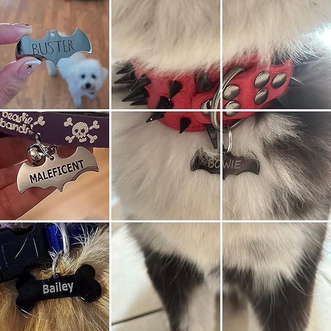 316 Surgical Grade Stainless Steel Personalized Dog & Cat ID Tags - Engraved Name or Text for Pet Collar Accessories, Original Funny Shapes (Round)