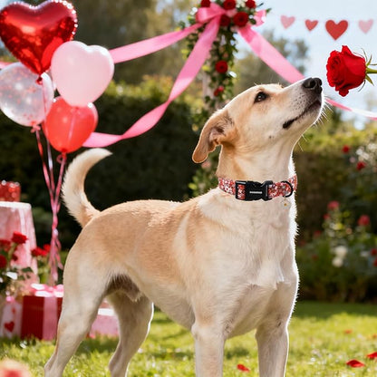 DOGWONG Red Flower Dog Collar, Cute Adjustable Floral Collar, Girl Female Dog Collar with Strong Plastic Buckle for Small Medium Large Dogs,XS