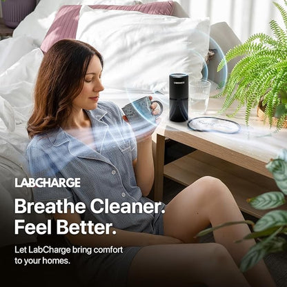 Lab Charge Small Ionic Air Purifier for Home & Bedroom – Silent HEPA Filter – Covers 250 Sq Ft - Free Cleaner for Pets, Hair, Smoke, Dust, Odors & Dander – Compact & Black Design - Pack of 4