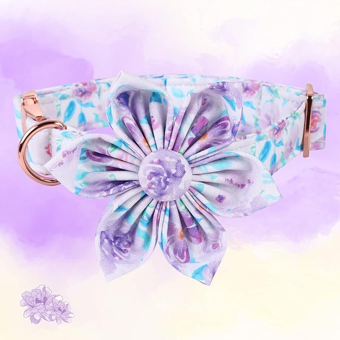 Lionheart Glory Dog Collar, Purple Dog Collar with Flower, Cute Floral Pattern Pet Collar Adjustable Dog Collar for Medium Dogs