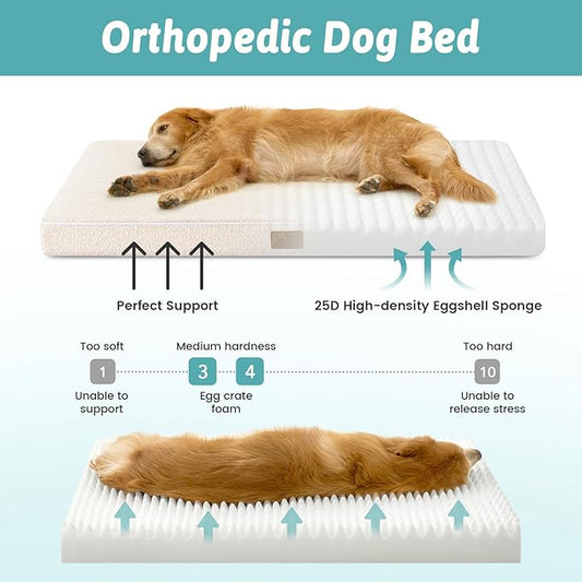 Dog Crate Bed for Small Size Dogs, Rectangular Orthopedic Cat Beds, Foam Anti-Slip Bottom Pet Mat with Washable Removable Cover, Suitable for Pet Up to 30 lbs, 24x16x3 inch, Beige