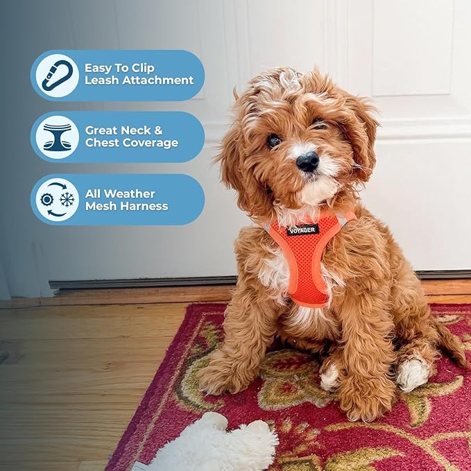 Best Pet Supplies Voyager Step-in Air Harness - All Weather Mesh, Reflective, No Pull Harness for Dogs, Cats - Secure with Hook & Loop Fastener, Buckle, Double D-Rings - Orange, XL