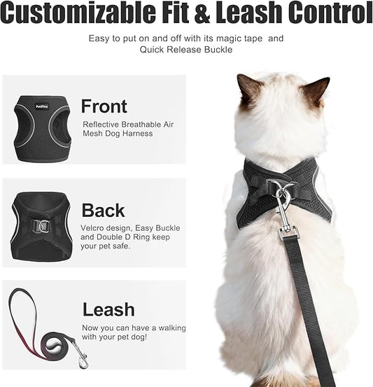 PetiFine Cat Harness and Leash Set,Escape Proof Kitten Harness Reflective,Soft Lightweight Puppy Harness for Walking and Travelling(XXS, Black)