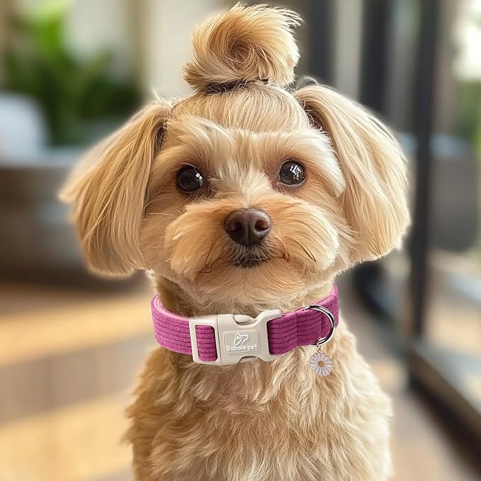 Cute Corduroy Dog Collar - Fuchsia Adjustable Dog Collars for X-Large Dogs 80+lbs, Fade-Proof with Secure Snap & Little Charm, Christmas Birthday Gift, XL