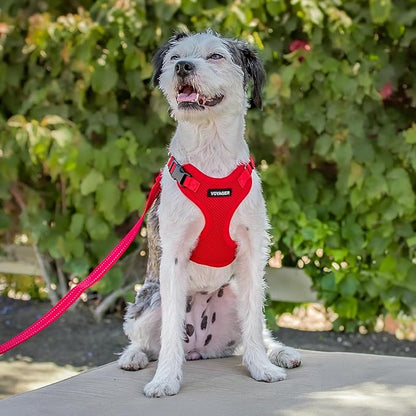 Voyager Step-in Pet Harness - All Weather Mesh, Adjustable Step in Harness for Cats and Dogs by Best Pet Supplies - Red, XS