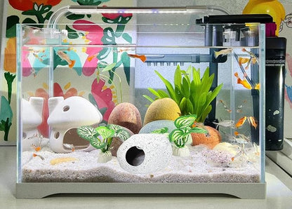 Fish Aquarium Decorations Cave Hide with Viewing Window for Betta Fish Tank Decor