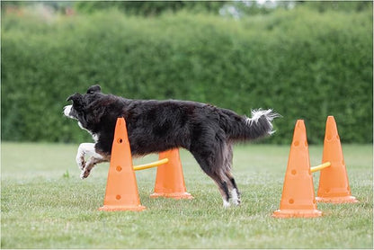 TRIXIE Dog Agility Hurdle Cone Set – Dog Agility Set with Height Adjustable Crossbar for Beginners & Advanced, Dog Agility Equipment for Dog Obstacle Courses – 6 x Cones, 3 x Agility Rods