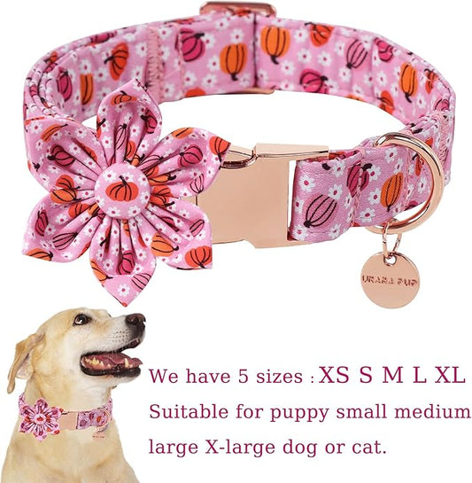 Halloween Pumpkin Dog Collar with Flower, Pink Halloween Puppy Flower Collar with Adjustable Metal Buckle,Fancy Halloween Dog Collar Bowtie Gift for Girl Boy Dog,XL
