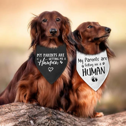 2 Packs My Parents are Getting Me a Human Gender Reveal Dog Bandana Pregnancy Announcement Pet Dog Triangle Scarf Accessories Baby Announcement Gift for Small Medium Large Dogs Cats