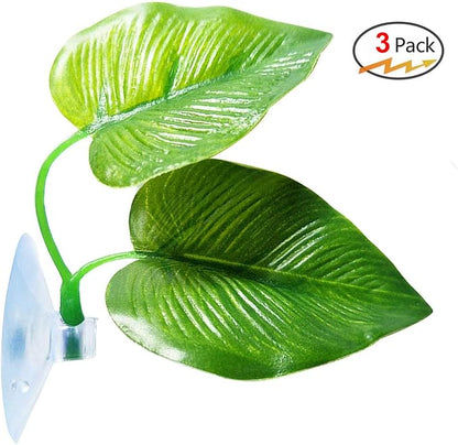 CousDUoBe 3 Pack Betta Fish Leaf Pad Improves Betta's Health by Simulating The Natural Habitat - Natural, Organic, Comfortable Rest Area for Fish Aquarium Ornaments