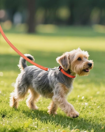 Joytale Small Dog Collar, Reflective and Adjustable Nylon Collar with Quick-Release Buckle, Lightweight No-Choke Design for Small Dogs, Orange, 3/4" Width