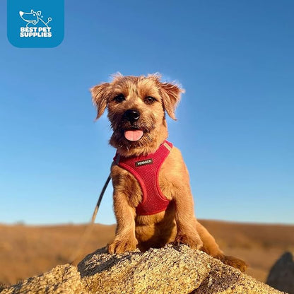 Best Pet Supplies Voyager Step-in Air Harness - All Weather Mesh, Reflective, No Pull Harness for Dogs, Cats - Secure with Hook & Loop Fastener, Buckle, Double D-Rings - Red, XXS