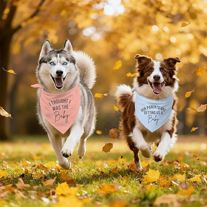 2 Pack Dog Bandanas for Pregnancy Announcement, Cute Adjustable Pet Bandana Scarf for Small Medium Large Dogs, Gender Reveal Puppy Accessories, Soft Breathable Fabric for Puppy Cats(Blue&Pink)