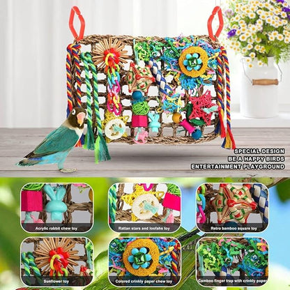 Foraging Toys for Parakeets Cockatiel Conures Lovebirds - Seagrass Wall with Various Bird Toys