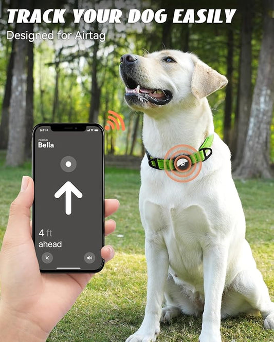 Joytale Airtag Dog Collar, Reflective Pet Collar with Waterproof AirTag Holder, Dual D-Rings, Soft Padded Adjustable for Large Dogs, Green, L