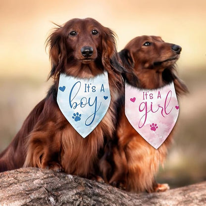 2 Packs It's a Boy and It's a Girl Gender Reveal Dog Bandana Baby Announcement Pet Triangle Scarf Accessories Pink and Blue Dog Bandana for Small Medium Large Dogs Cats