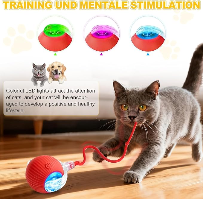 3-Pack Interactive Cat Toys Ball for Indoor Cats＆Dog,Automatic Cat Toy 360° Auto-Rotation Smart Obstacle Avoidance,Includes 8 Cat Spiral Spring,Cat Enrichment Toys for Indoor Cats