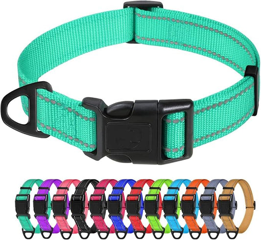 TagME Reflective Nylon Dog Collars, Adjustable Classic Pet Collar with Quick Release Buckle for Medium Dogs, Turquoise, 1.0" Width
