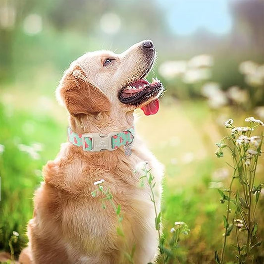Easter Dog Collar for Small Dogs - Green Bunny Egg Dog Collars, Cute Boy Girl Dogs Easter Collar, Adjustable Spring Holiday Pet Collars with Quick Release Buckle S