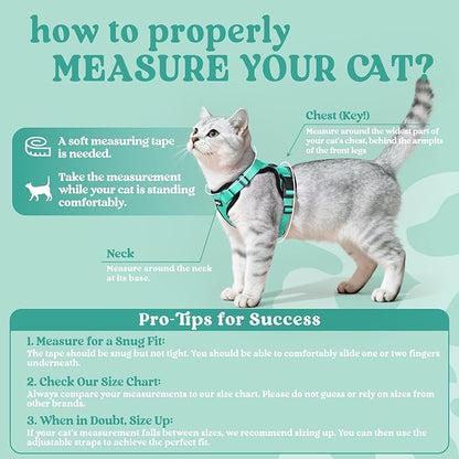 rabbitgoo Cat Harness and Leash for Walking, Escape Proof Soft Adjustable Vest Harnesses for Cats, Easy Control Breathable Reflective Strips Jacket, Emerald, M