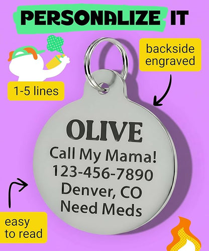 Bad Tags Personalized Dog and Cat ID Tags in 25+ Designs and 2 Sizes - 5 Lines of Custom Engraved Text - Funny Cute Personalized Pet Tags (Cheese Tax Collector, Large (1.25 inch))