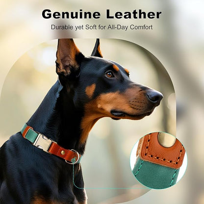 Plutus Pet Genuine Leather & Hemp Dog Collar – Adjustable Heavy Duty Pet Collar with Quick Release Metal Buckle, Soft & Stylish for Puppy and Small, Medium, Large Dogs (Green, M)