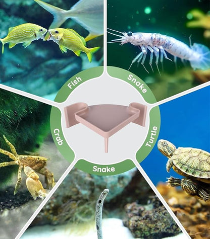 Aquarium Cave Hideout with Viewing Window – Corner Fish Tank Tunnel for Pleco, Cory Catfish, Kuhli Loach, Shrimp, Betta – 2-Hole Plastic Bottom Dweller Shelter – Fish Hiding Spot Decor (5"x5"x2")