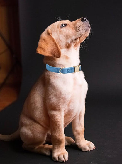 Soft Cotton Dog Collar with Metal Buckle Adjustable Heavy Duty Comfy Corduroy Collars for Small Medium Large Dogs,Blue,Medium