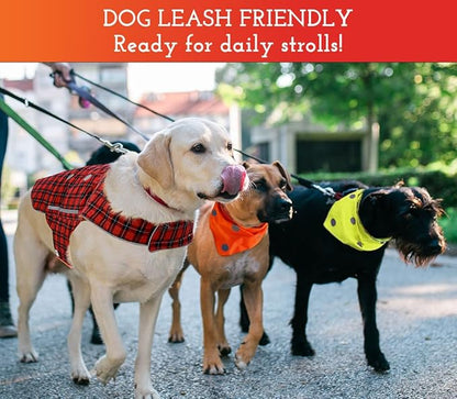 SPOT THE DOG! Reflective Dog Collar - Adjustable Pet Collars, Safe, Durable, Comfortable Dog Walking Accessories for Medium Dog, Hunting Dog, Puppy, Boy, Girl Dog Collars (Blaze Orange, Red Plaid, M)