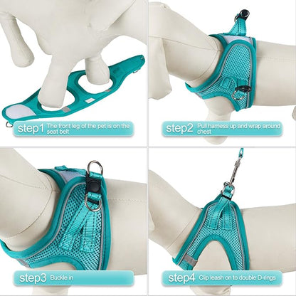 YIMEIS Dog Harness and Leash Set, No Pull Soft Mesh Pet Harness, Reflective Adjustable Puppy Vest for Small Medium Large Dogs, Cats (Turquoise, Small (Pack of 1)