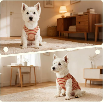 Dog Clothes, Stripe Dogs Shirts for Small & Medium Breeds, Pet Tank Top, Breathable Waffle Fabric Puppy Outfit, Shirt for Chihuahua, Yorkie, Dachshund, Corgi (4Pack, Large)