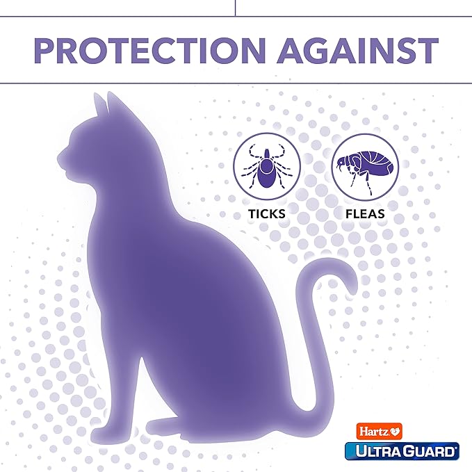 Hartz UltraGuard Flea & Tick Collar for Cats and Kittens, 7 Month Flea and Tick Protection and Prevention, White (Pack of 3)