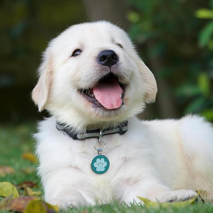 MYLUCKYTAG QR Code Pet ID | Personalized Dog & Cat Collar Tag | Online Profile with Instant Scanned Location Alert Email
