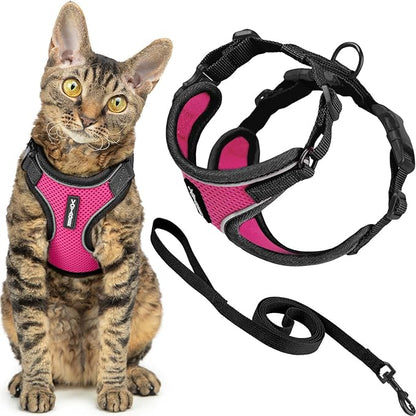 Voyager Escape-Proof Step-in Lock Cat Harness & 5ft Neoprene-Handle Leash Set All-Weather Mesh with Reflective Stitching for Small to Large Cats by Best Pet Supplies, Black Trim-Fuchsia (327), S