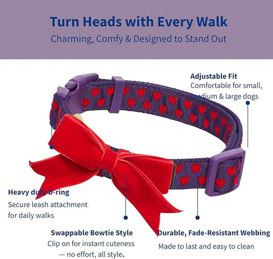 Blueberry Pet Adjustable Flocking Dog Collar with Detachable Velvety Bowtie - Heart in Gothic Grape, Small, Neck 12"-16"