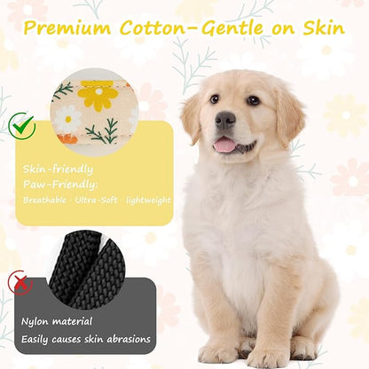 Dog Collar for Extra Small Dogs, Spring &Summer Theme Orange Small Dog Collars with Flower Pattern, Adjustable Puppy Dog Collars, Cute Girl or Boy Dog Collar Ideal for Gifts,Pet Accessory,S