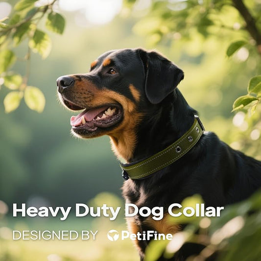 PetiFine Dog Collar for Large Dogs, Neoprene Padded and Adjustable, Reflective Wide Heavy Duty Pet Collars with Durable Metal Belt Buckle for Walking, Green, L